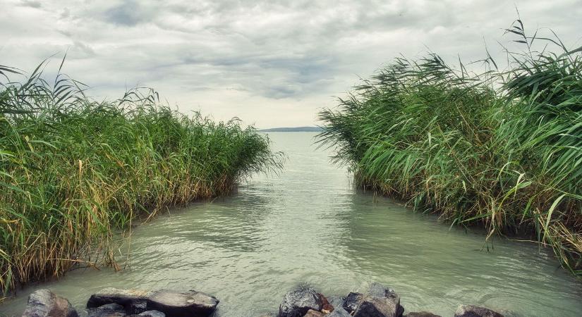 Példátlan videó jött a Balatonról, sokan azt írják, be se mennek a vízbe, miután ezt látták