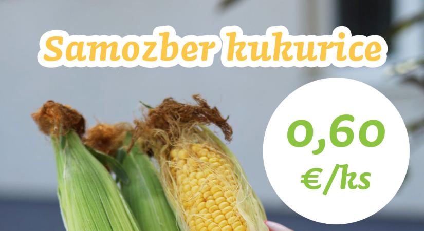 Őszibarack, zsenge kukorica, uborka és málna – ma és hétvégén országszerte folytatódik a szedd magad akció