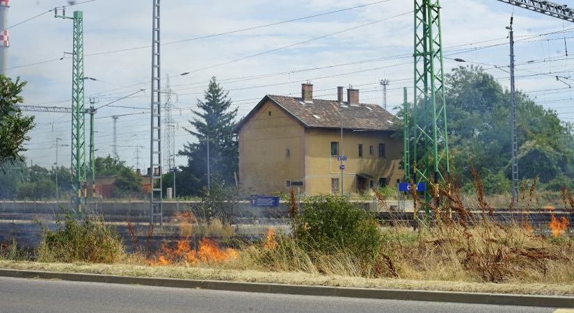 Égő madár okozott tüzet az óbudai vasútállomáson