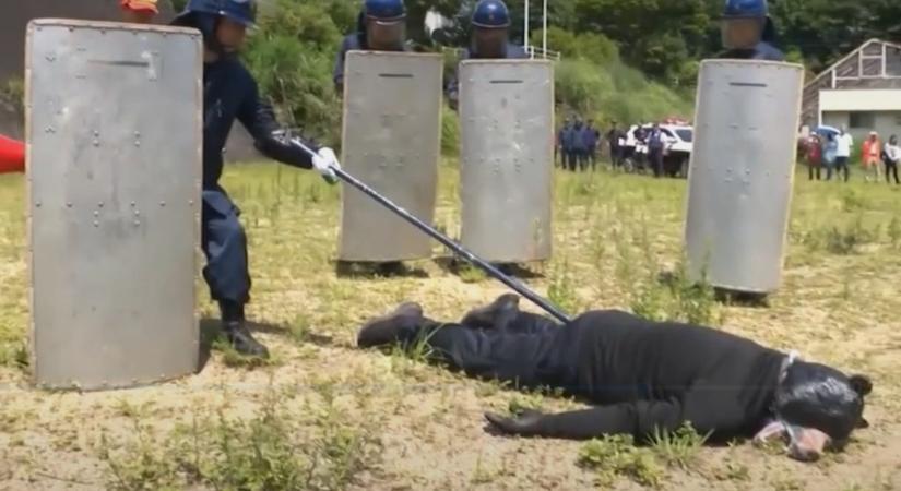 Medvejelmezbe öltözött emberrel gyakorolták japán rendőrök, hogy reagáljanak egy állattámadásra