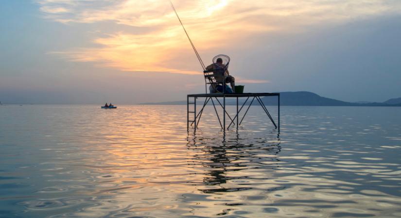Ezért ne hekket egyél a Balatonnál!