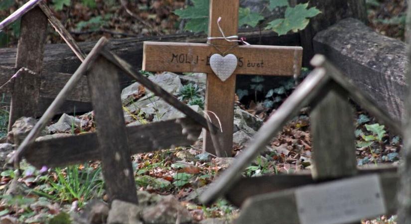 Kis sírok a Balaton-parton – Így őrzik a gazdik a szeretett állatok emlékét