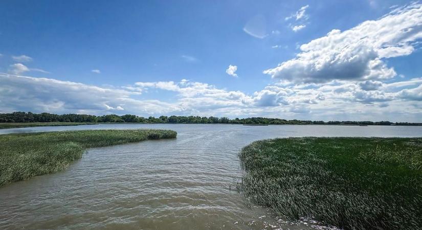 Kincseket rejtettek el a rendőrök a Tisza-tónál