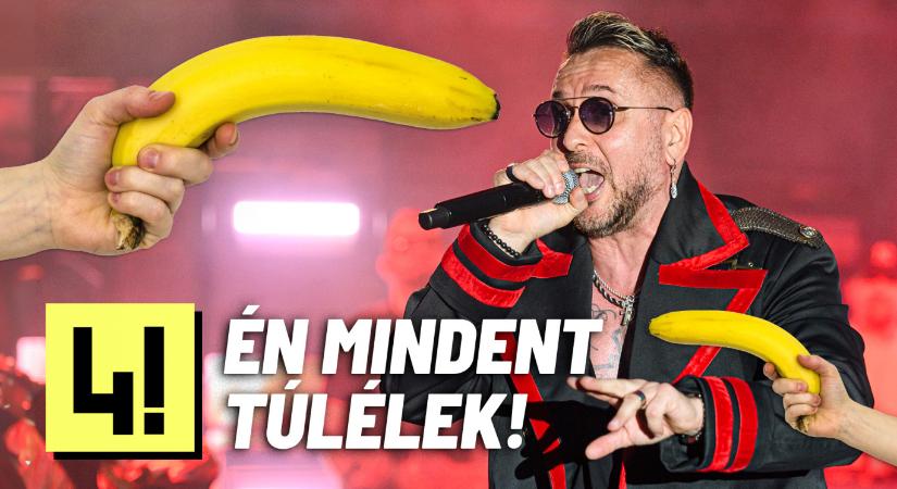 Banánokkal lőtték volna szitává Majkát