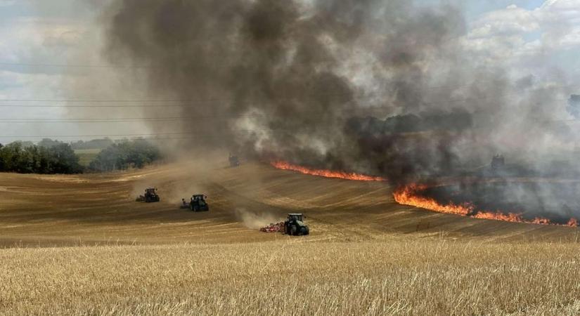 Csaknem 13 ezer focipályányi terület lett a lángok martaléka eddig idén Magyarországon