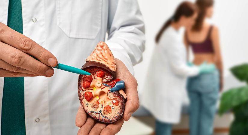 Vesekárosodást okozhatnak ezek a gyógyszerek: mutatjuk, hogyan kerülhetjük el