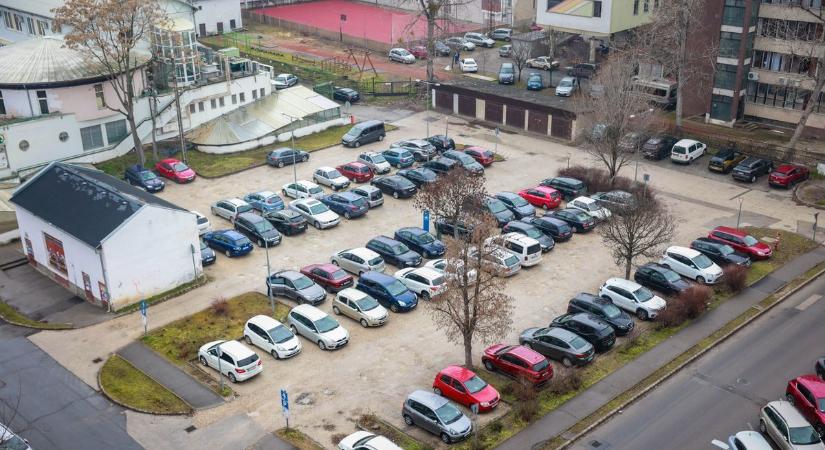 Harc a túlélésért a kisvárosi dzsungelben