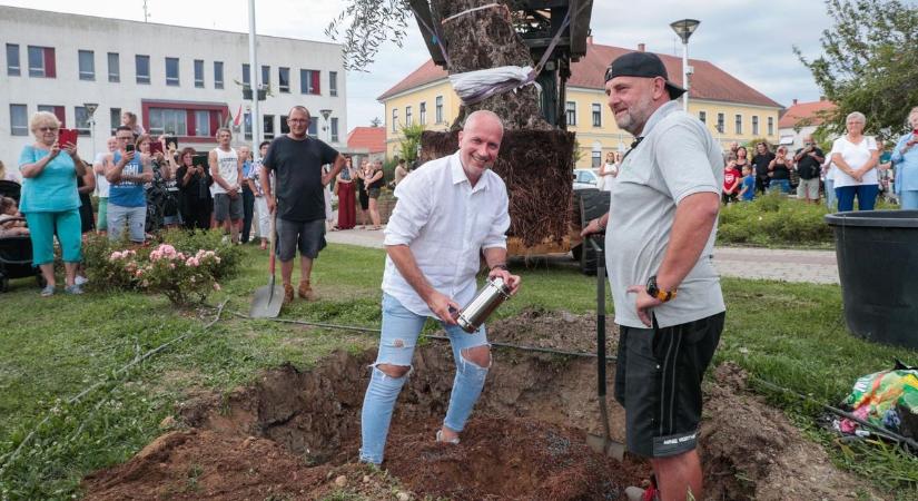 Ön mit üzenne a jövőnek? - Időkapszulával együtt ültették el a béke és összefogás olajfáját Körmenden
