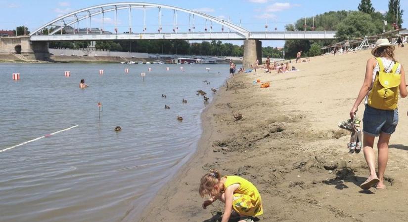 Egy különleges és ikonikus állat jelent meg a Lapos Beach partján, amely a nyarat szimbolizálja