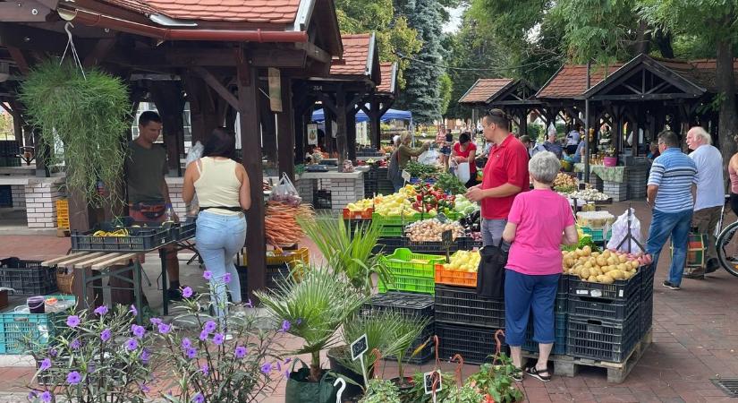Hogy adják a paradicsomot? Megnéztük az árakat a mosonmagyaróvári piacon