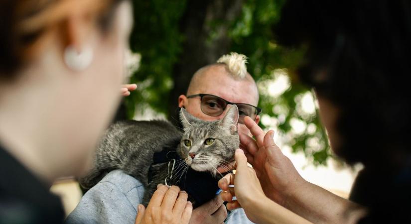 Rajongók serege gyűlt össze a Dobó téren - Debrecenből is eljöttek, hogy lássák Géza urat