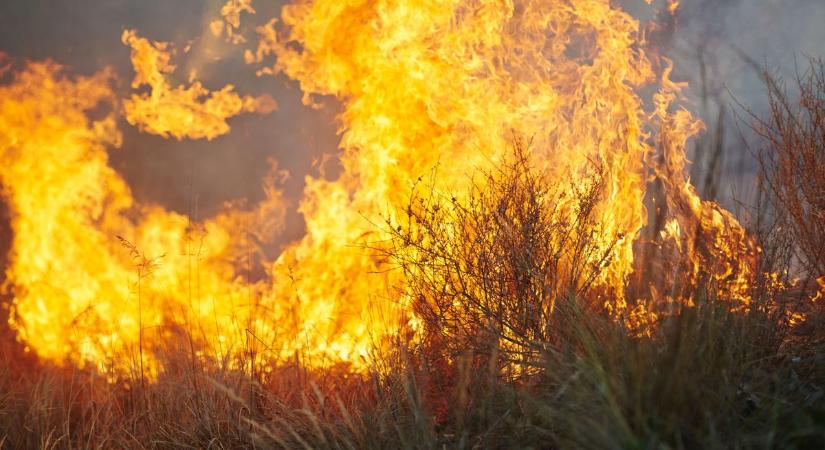 Eloltották a Szeged mellett tomboló tüzet
