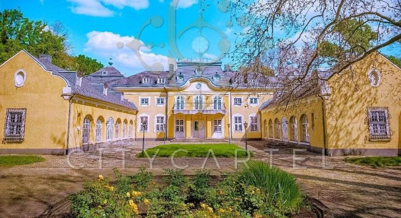 Fényűzés és pompa: mesebeli kastély keresi új gazdáját a vármegyehatáron - fotók