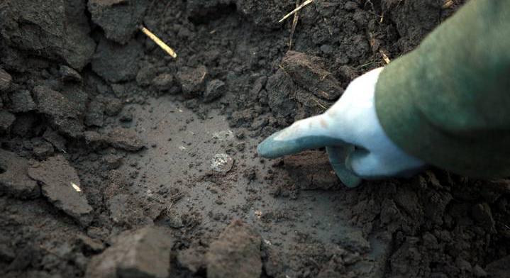 Megtalálta a vikingek aranyát: a fémkeresőző férfi ölébe pottyant a kincs