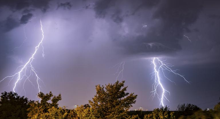 A fák több mint felét már kiirtottuk a Földön