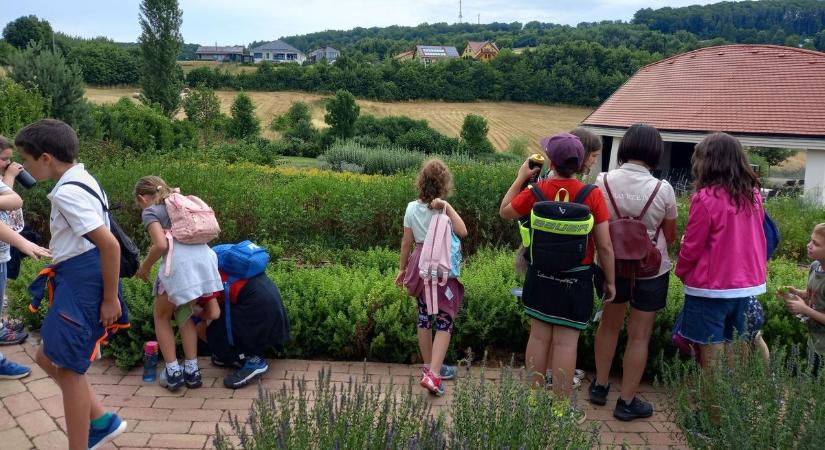 Ezért rajonganak a gyerekek a bükkszentkereszti gyógynövénykertért, te is szívesen visszamennél iskolásként