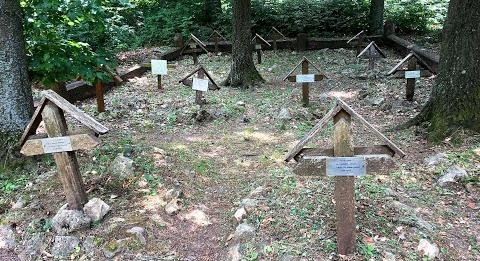 Kis sírok a Balaton-parton – Így őrzik a gazdik a szeretett állatok emlékét (veol.hu)