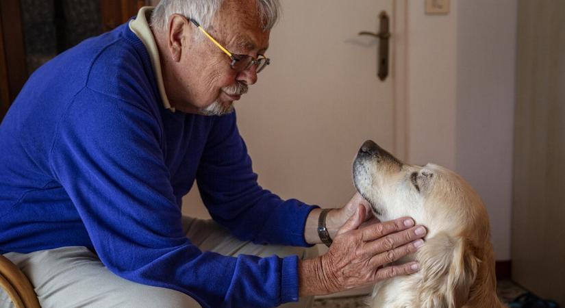 Parkinson-kór: kutyák segíthetnek a korai diagnózisban