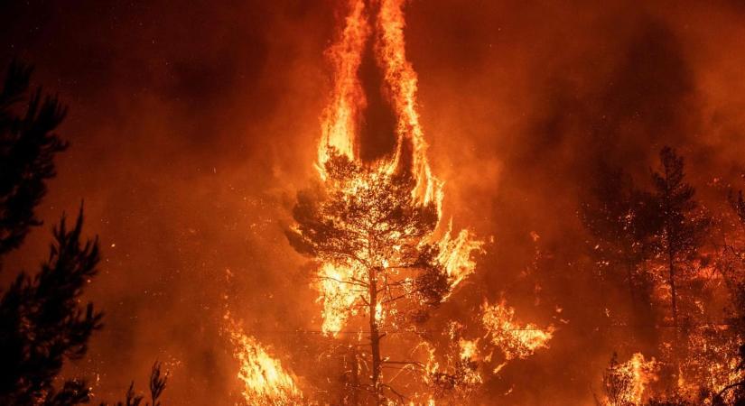 Rekordhőséget mértek Törökországban, 50 fok felett volt a hőmérséklet