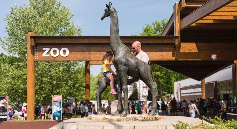 Újabb szenzáció: már láthatók a nemrég született cuki kis állatkák a Nyíregyházi Állatparkban