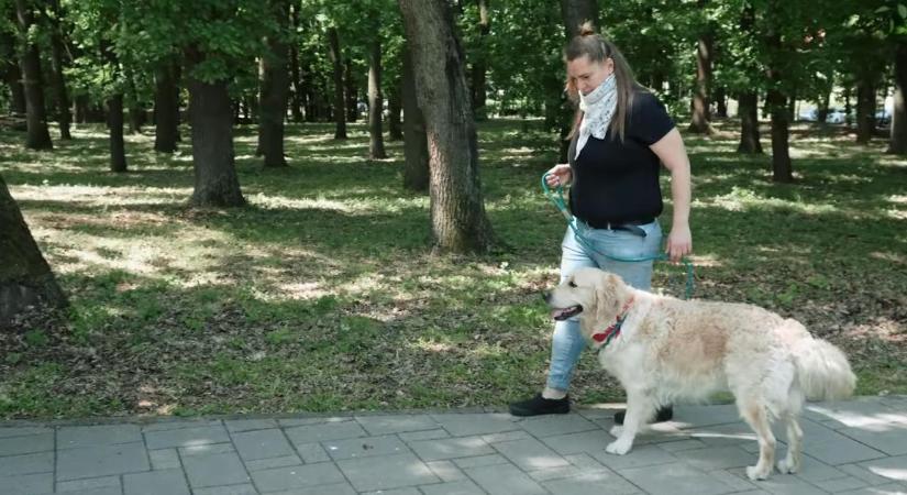 Gyakorlat teszi az ebet mesterré – videóval