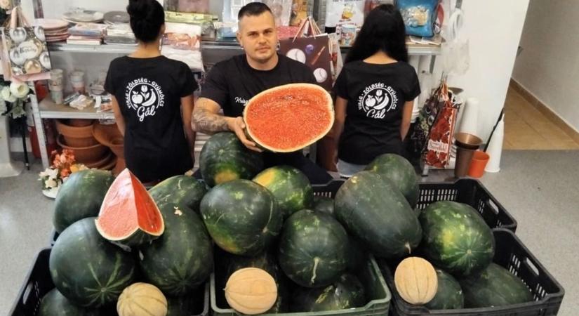 A cecei dinnye a nyár slágere