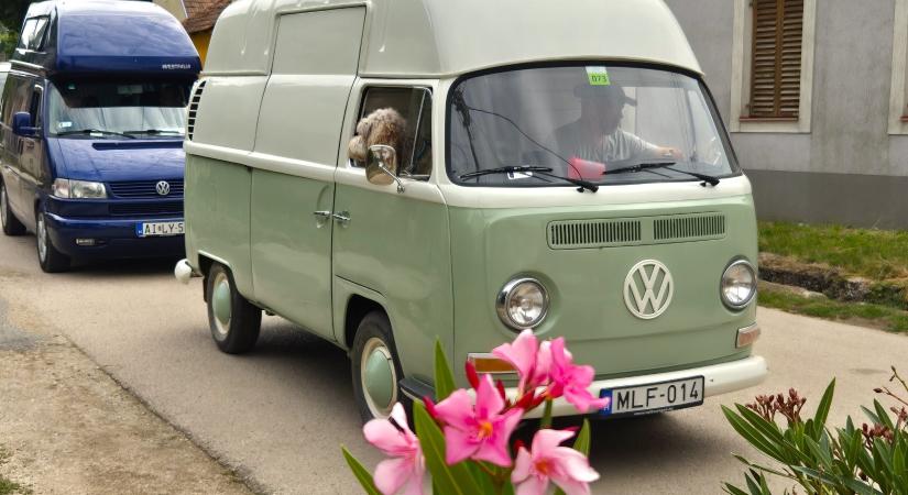 Hippibuszok és szabadság a Művészetek Völgyében – 75 éves a VW Transporter