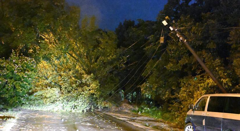 Halált hozott a vihar a szomszédunkban: kidőlt fák és pánik a fesztiválon – emberéletet követelt az ítéletidő