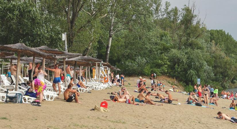 A krokodil, amely nem harap, de minden nyáron meghódítja Szegedet – galériával, videóval