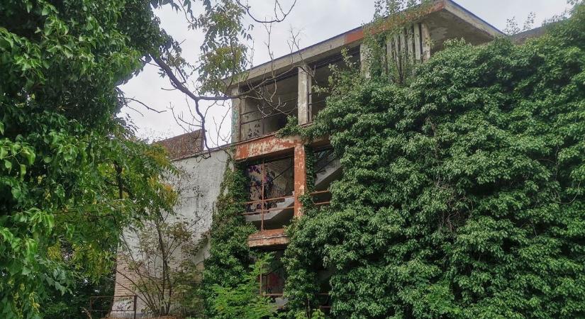 A Sirály utolsó nyara: egy balatoni legenda emléke (galéria  videó)