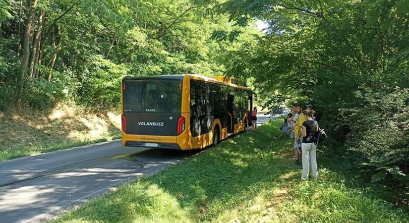 Jó hír: több buszmegállót is felújítanak