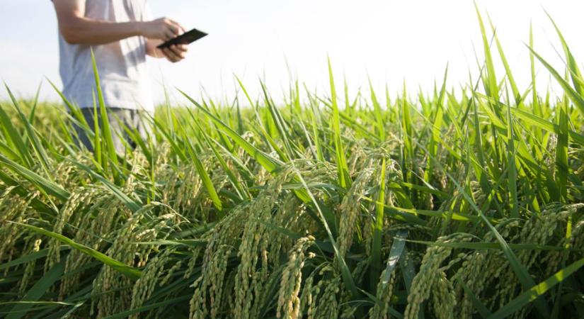 Az agrárium generációváltása kulcskérdés a jövő szempontjából
