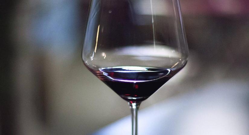 A világ legjobb Shiraz borai – ezeket érdemes megkóstolni!
