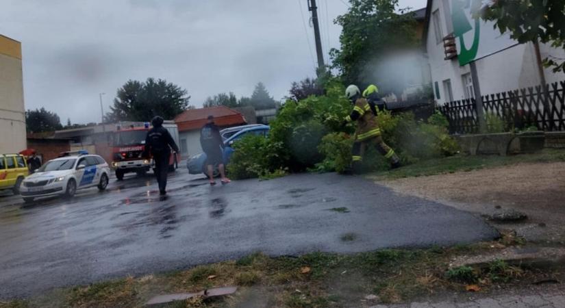 Fát döntött ki a vihar Balatonbogláron