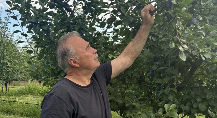 Az agrárminiszter menti, ami még menthető