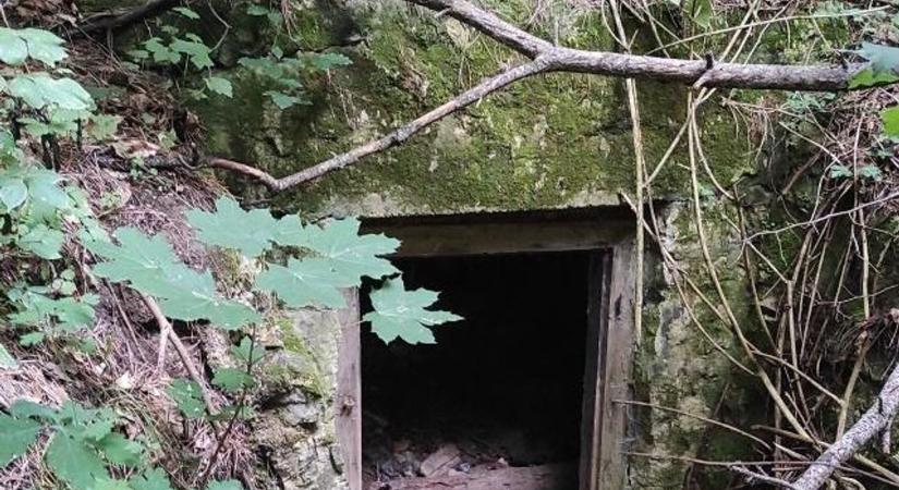 Rejtély a Bakonyban: Mi bújik meg a föld alatt?