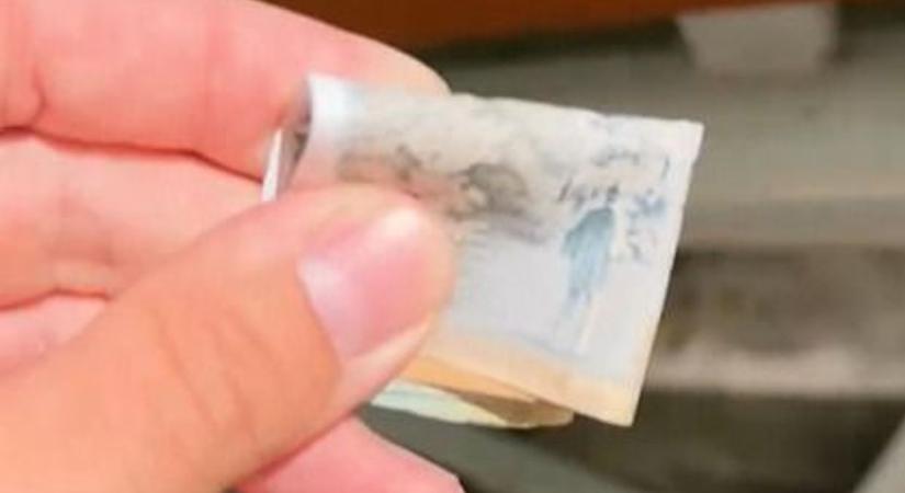 Megtalálták az eldugott pénzt Miskolcon!