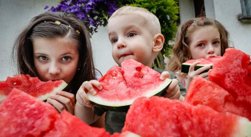 Hol terem a nyár legédesebb gyümölcse? Olvasóink szerint itt kapható a legjobb dinnye Bács-Kiskunban