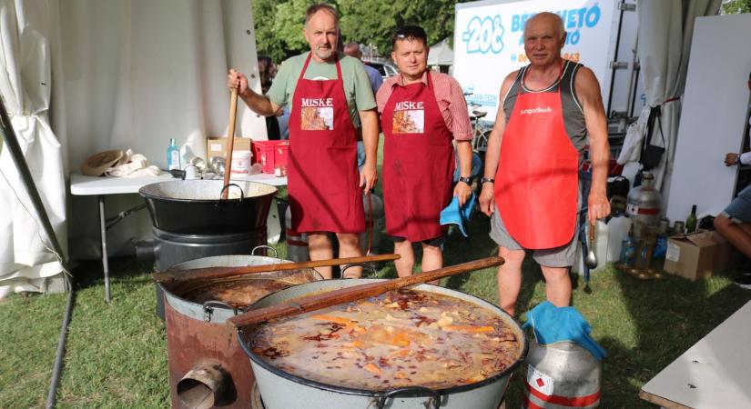 Lovas színház, főzőverseny, kitüntető díjak: remek hangulatban telt a falunap – galériával