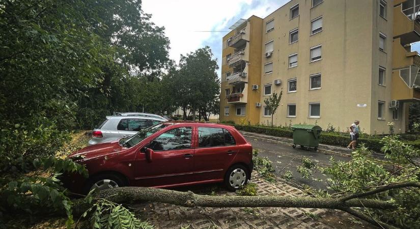 Sokszor enni sincs idejük – megállás nélkül dolgoznak a tűzoltók: nemrég vihar pusztított, most lángok perzselnek