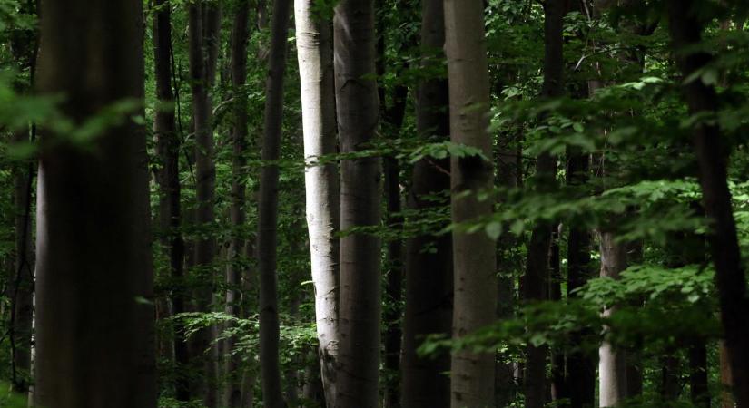 Magyarország kísérteties helyei: ahová nem kellene elmenned – de úgyis el fogsz!