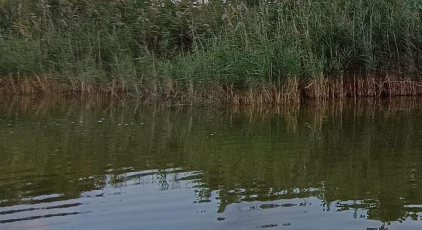 Emberi csontokat találtak a víztározóban