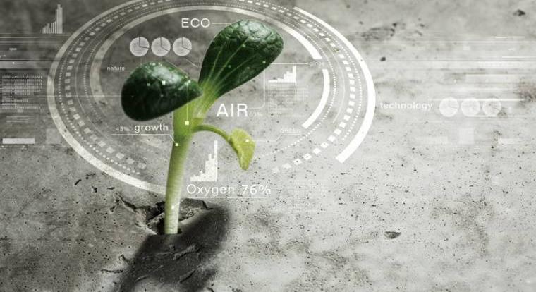 Magyar agrárinformatikai cég hódít Malajziában