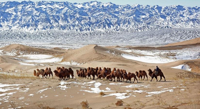 Atacama-sivatag: elképzelhetetlen jelenséget láttak az ott élők