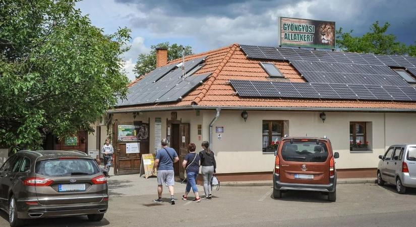 Megérkeztek az új lakók a Gyöngyösi Állatkertbe