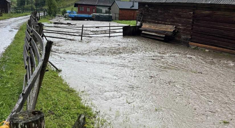 Hargita megye: áradás Bélbor községben, fákat döntött ki a vihar Hargitafürdő térségében