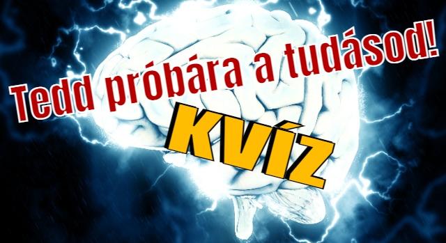 Tudáspróba kvíz: Teszteld a tájékozottságod egy egyszerű kvízzel! Sikerül mind a 8 kérdésre a válasz?