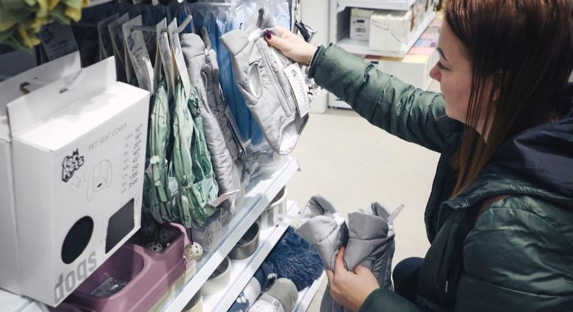 Csődöt jelentett a Hajdú-Biharban is közkedvelt diszkont üzletlánc