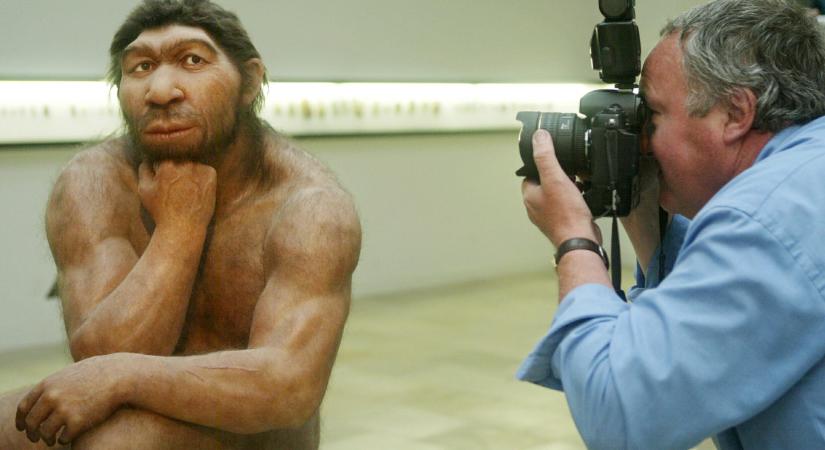A neandervölgyiek lárvadiétával tartották magukat csúcsformában