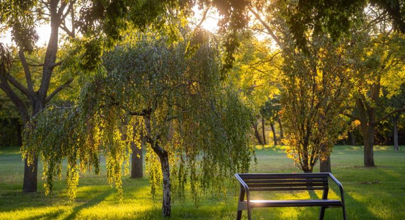 Gondolkodjunk együtt! – Paks közterei és közparkjai